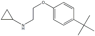 N-[2-(4-tert-butylphenoxy)ethyl]cyclopropanamine Struktur