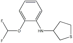 N-[2-(difluoromethoxy)phenyl]thiolan-3-amine Struktur