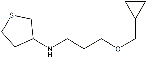 N-[3-(cyclopropylmethoxy)propyl]thiolan-3-amine Struktur