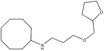 N-[3-(oxolan-2-ylmethoxy)propyl]cyclooctanamine Struktur