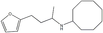 N-[4-(furan-2-yl)butan-2-yl]cyclooctanamine Struktur