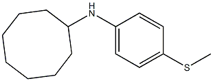 N-[4-(methylsulfanyl)phenyl]cyclooctanamine Struktur