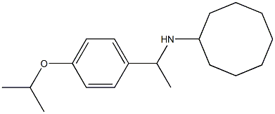 N-{1-[4-(propan-2-yloxy)phenyl]ethyl}cyclooctanamine Struktur