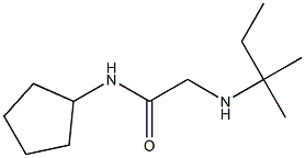 N-cyclopentyl-2-[(2-methylbutan-2-yl)amino]acetamide Struktur