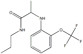 N-propyl-2-{[2-(trifluoromethoxy)phenyl]amino}propanamide Struktur