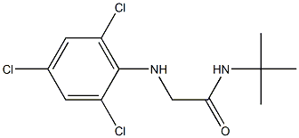 N-tert-butyl-2-[(2,4,6-trichlorophenyl)amino]acetamide Struktur