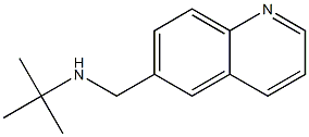 tert-butyl(quinolin-6-ylmethyl)amine Struktur