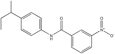 N-(4-sec-butylphenyl)-3-nitrobenzamide Struktur