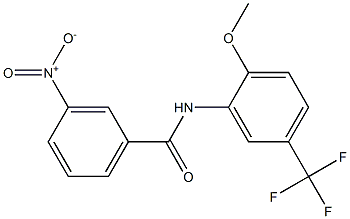 N-[2-methoxy-5-(trifluoromethyl)phenyl]-3-nitrobenzamide Struktur