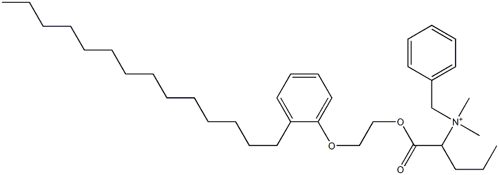 N,N-Dimethyl-N-benzyl-N-[1-[[2-(2-tetradecylphenyloxy)ethyl]oxycarbonyl]butyl]aminium Struktur