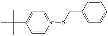 4-tert-Butyl-1-(benzyloxy)pyridin-1-ium Struktur