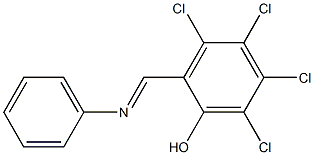 3,4,5,6-Tetrachloro-2-[(phenylimino)methyl]phenol Struktur