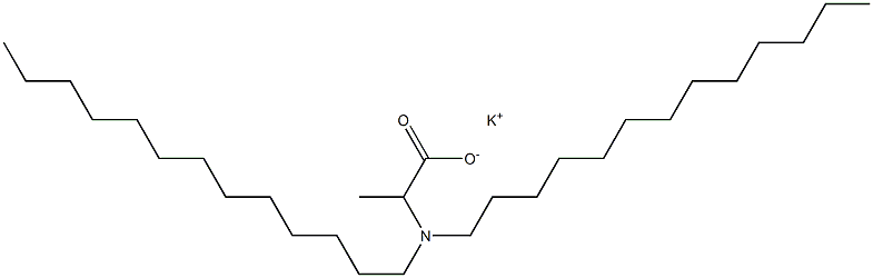 2-(Ditridecylamino)propanoic acid potassium salt Struktur