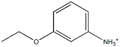 m-Ethoxyanilinium Struktur