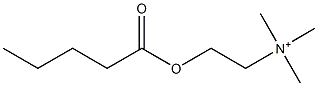 2-Pentanoyloxy-N,N,N-trimethylethanaminium Struktur