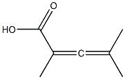 2,4-Dimethyl-2,3-pentadienoic acid Struktur