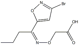 [[(Z)-1-(3-Bromoisoxazol-5-yl)butylidene]aminooxy]acetic acid Struktur