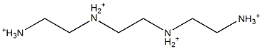 N,N''-Ethylenebis(1,2-ethanediaminium) Struktur