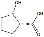 1-Hydroxy-L-proline Struktur