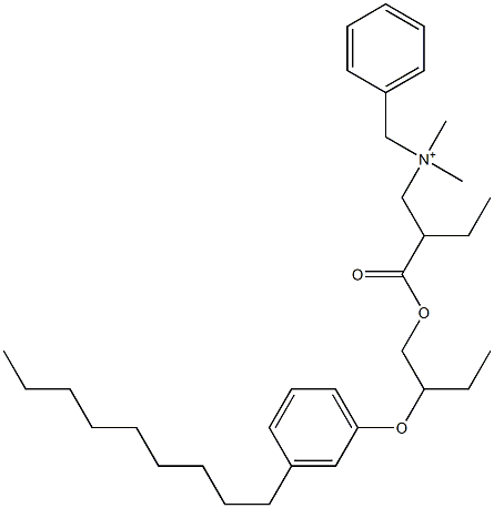 N,N-Dimethyl-N-benzyl-N-[2-[[2-(3-nonylphenyloxy)butyl]oxycarbonyl]butyl]aminium Struktur