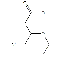 DL-Carnitine isopropyl ester Struktur