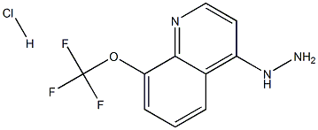 4-Hydrazino-8-trifluoromethoxyquinoline Hydrochloride Struktur