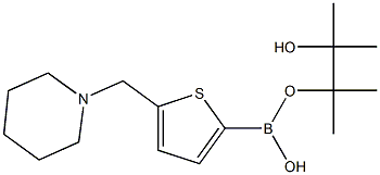 5-(Piperidinomethyl)-2-thiopheneboronic acid pinacol ester Struktur