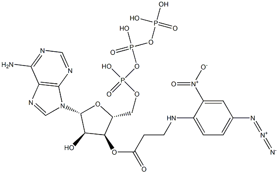 3'-O-(3-(N-(4-azido-2-nitrophenyl)amino)propionyl)adenosine-5'-triphosphate Struktur