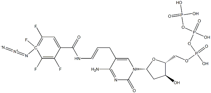 5-(3-(4-azidotetrafluorobenzamido)allyl)-2'-deoxycytidine-5'-triphosphate Struktur