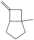 1-methyl-6-methylidene-bicyclo[3.2.0]heptane Struktur