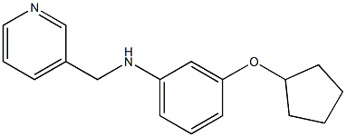 3-(CYCLOPENTYLOXY)-N-((PYRIDIN-3-YL)METHYL)BENZENAMINE Struktur