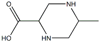 2-METHYL-5-PIPERAZINECARBOXYLIC ACID Struktur