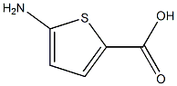 5-AMINOTHIOPHENE-2-CARBOXYLIC ACID Struktur