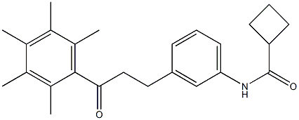 N1-{3-[3-oxo-3-(2,3,4,5,6-pentamethylphenyl)propyl]phenyl}cyclobutane-1-carboxamide Struktur