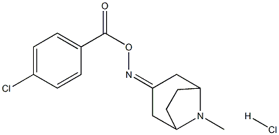 3-{[(4-chlorobenzoyl)oxy]imino}-8-methyl-8-azabicyclo[3.2.1]octane hydrochloride Struktur