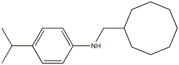 N-(cyclooctylmethyl)-4-isopropylbenzenamine Struktur