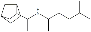 (1-{bicyclo[2.2.1]heptan-2-yl}ethyl)(5-methylhexan-2-yl)amine Struktur