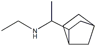 (1-{bicyclo[2.2.1]heptan-2-yl}ethyl)(ethyl)amine Struktur