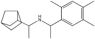 (1-{bicyclo[2.2.1]heptan-2-yl}ethyl)[1-(2,4,5-trimethylphenyl)ethyl]amine Struktur