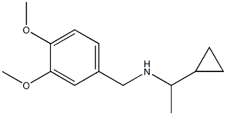 (1-cyclopropylethyl)[(3,4-dimethoxyphenyl)methyl]amine Struktur