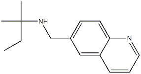 (2-methylbutan-2-yl)(quinolin-6-ylmethyl)amine Struktur