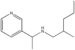 (2-methylpentyl)[1-(pyridin-3-yl)ethyl]amine Struktur