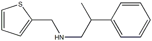 (2-phenylpropyl)(thiophen-2-ylmethyl)amine Struktur