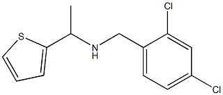 [(2,4-dichlorophenyl)methyl][1-(thiophen-2-yl)ethyl]amine Struktur