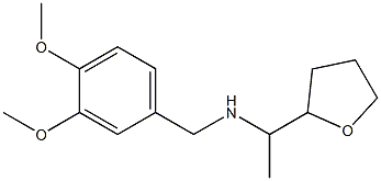 [(3,4-dimethoxyphenyl)methyl][1-(oxolan-2-yl)ethyl]amine Struktur