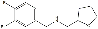 [(3-bromo-4-fluorophenyl)methyl](oxolan-2-ylmethyl)amine Struktur