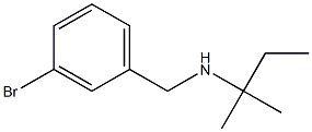 [(3-bromophenyl)methyl](2-methylbutan-2-yl)amine Struktur