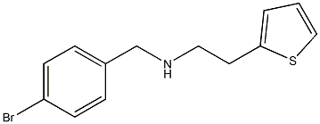 [(4-bromophenyl)methyl][2-(thiophen-2-yl)ethyl]amine Struktur