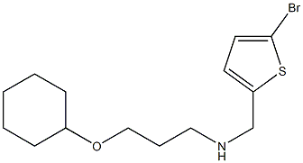 [(5-bromothiophen-2-yl)methyl][3-(cyclohexyloxy)propyl]amine Struktur