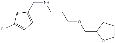 [(5-chlorothiophen-2-yl)methyl][3-(oxolan-2-ylmethoxy)propyl]amine Struktur